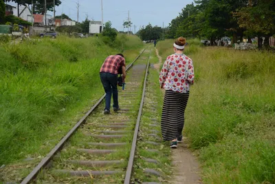 DSC_8777 (Large).JPG